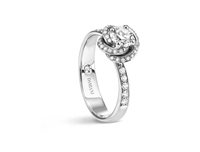Anello Damiani Donna Bocciolo Full Pavè in Oro bianco Diamante 0.70 Ct 810600818 - 810600818